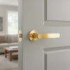 Elegant internal door handles featuring the Alora lever on a round rosette in polished gold, creating a refined focal point on a painted internal door.