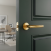 Sleek door handles for internal doors showcasing the Arabis on Round Rosette in a PVD gold finish, delivering a premium and elegant interior detail.