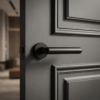 Asteria on Round Rosette in matt black, a sleek example of versatile classic door handles on a dark panelled door.