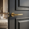 Elegant round internal door handle in luxurious PVD gold Funkia design on a dark paneled door in a stylish modern space.