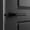 Inula on Round Rosette in matt black, showcasing sophisticated internal door handles on a modern black door.