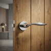 Robinia on Round Rosette in polished chrome, minimalist round internal handles fitted to a natural wood internal door.